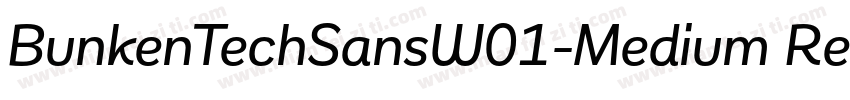 BunkenTechSansW01-Medium Regular字体转换
